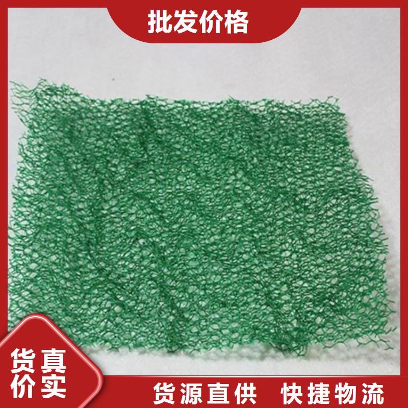 三維植草護坡網墊-EM4三維植被網