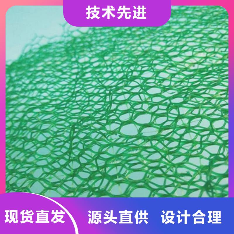 三維植被網(wǎng)土工布客戶滿意度高