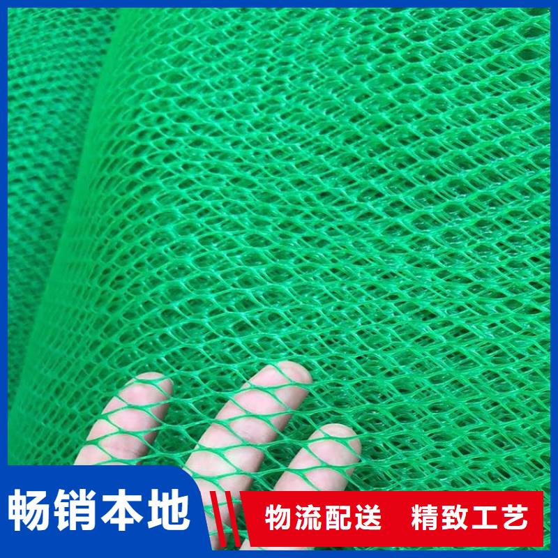 加筋護(hù)坡網(wǎng)墊#EM2加筋