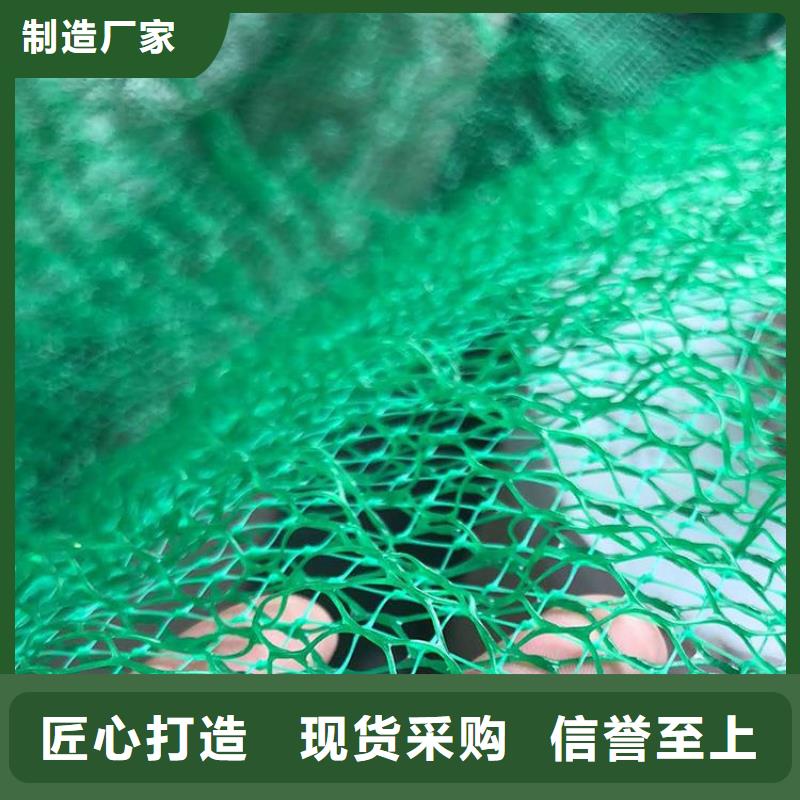 三維護坡植被網墊#塑料EM5