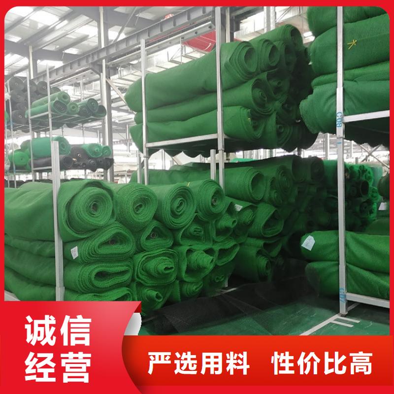 三維土工網墊-護坡三維植被網