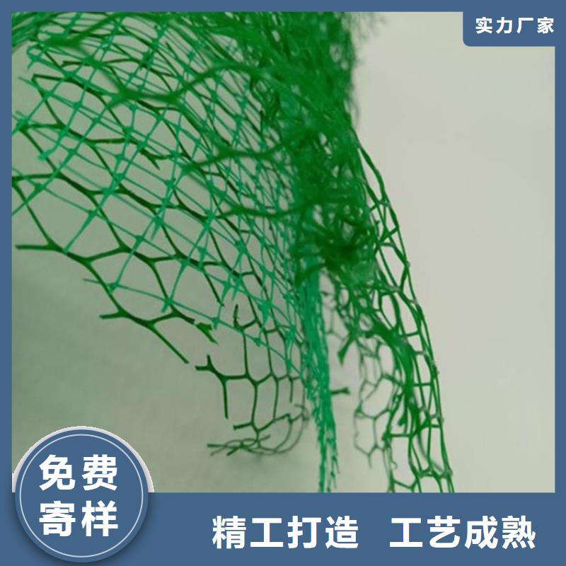 EM4環保加筋護坡網墊