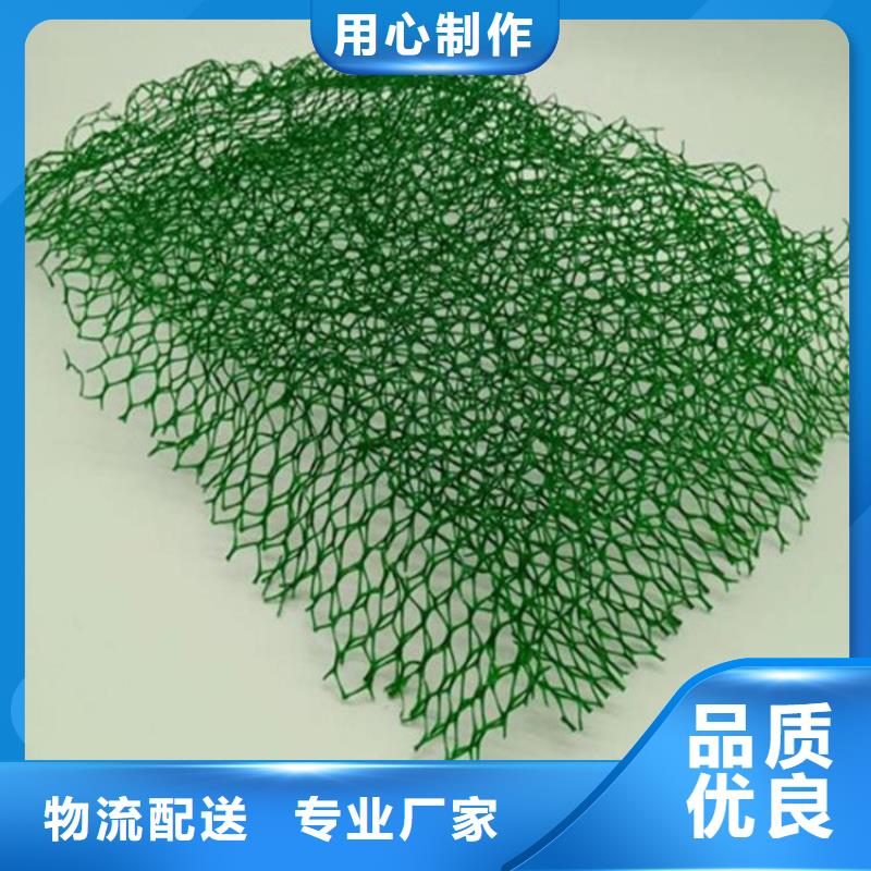 三維護坡加筋網墊密度