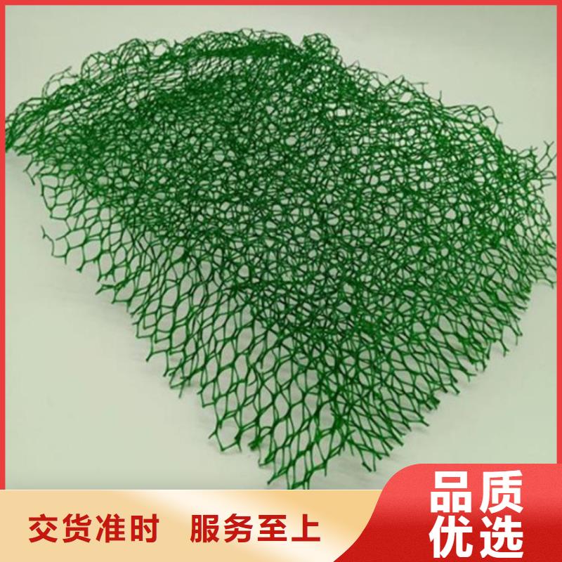 環保EM5三維土工網墊