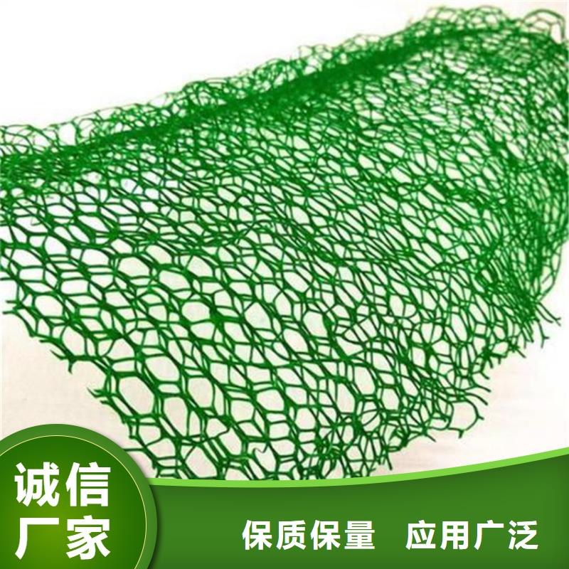 三維土工網墊#塑料邊坡