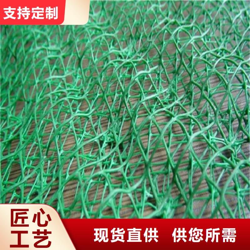 三維植被網(wǎng)機(jī)織布支持定制貼心售后