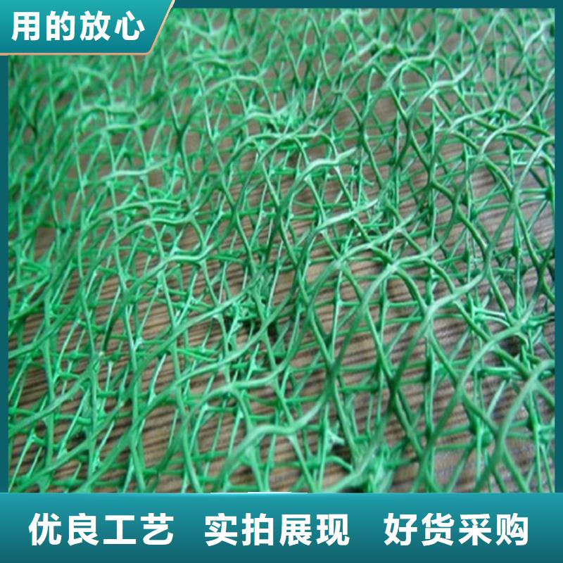 加筋護坡網墊#加筋EM2