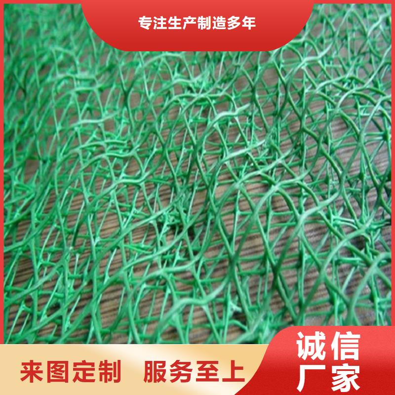 三維土工網(wǎng)墊-4層5層三維植被網(wǎng)