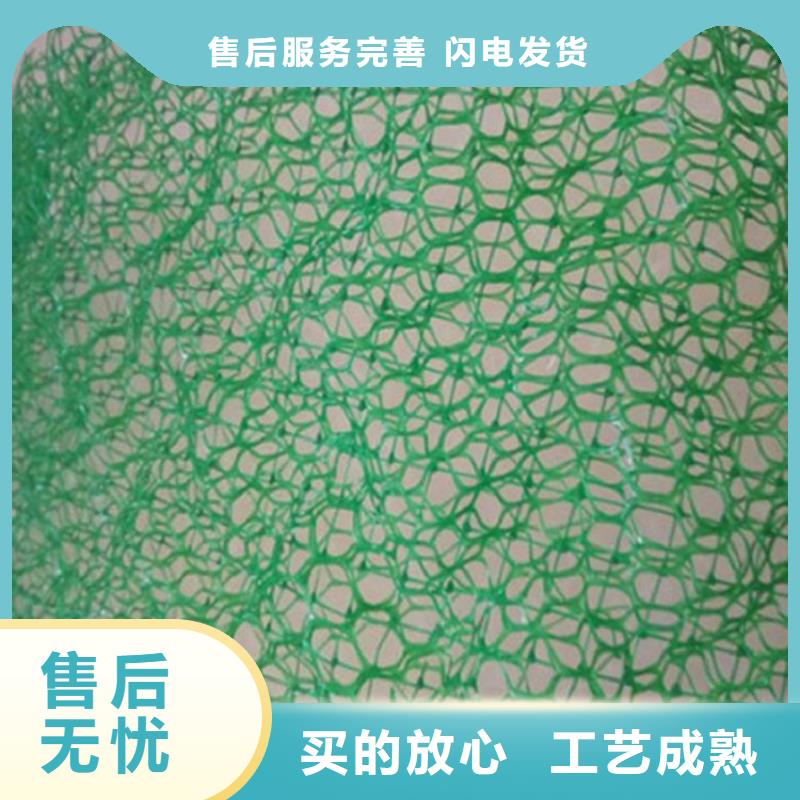 三維土工網(wǎng)墊規(guī)格結(jié)構(gòu)