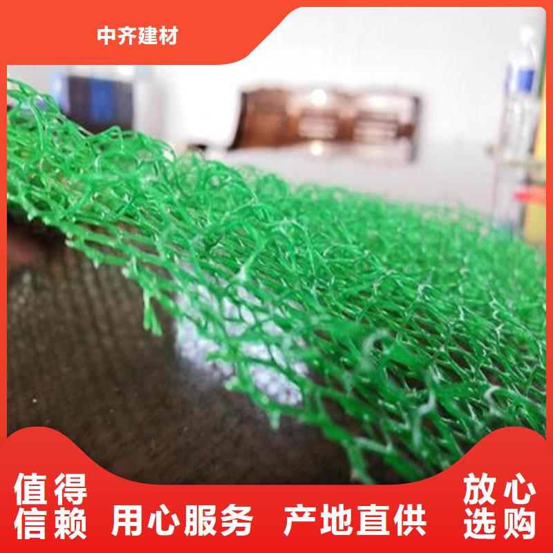 三維植被網抗裂貼源頭工廠