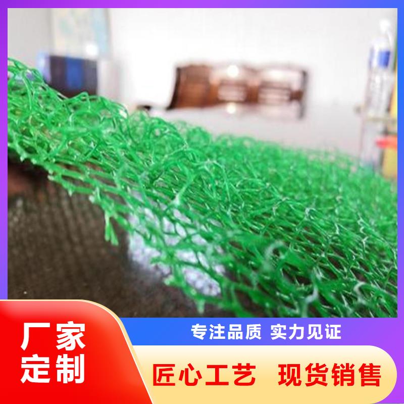 三維植被網(wǎng)-EM5三維土工網(wǎng)墊