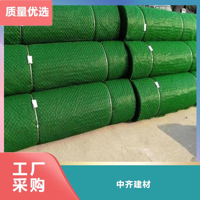三維固土網墊-土工網墊