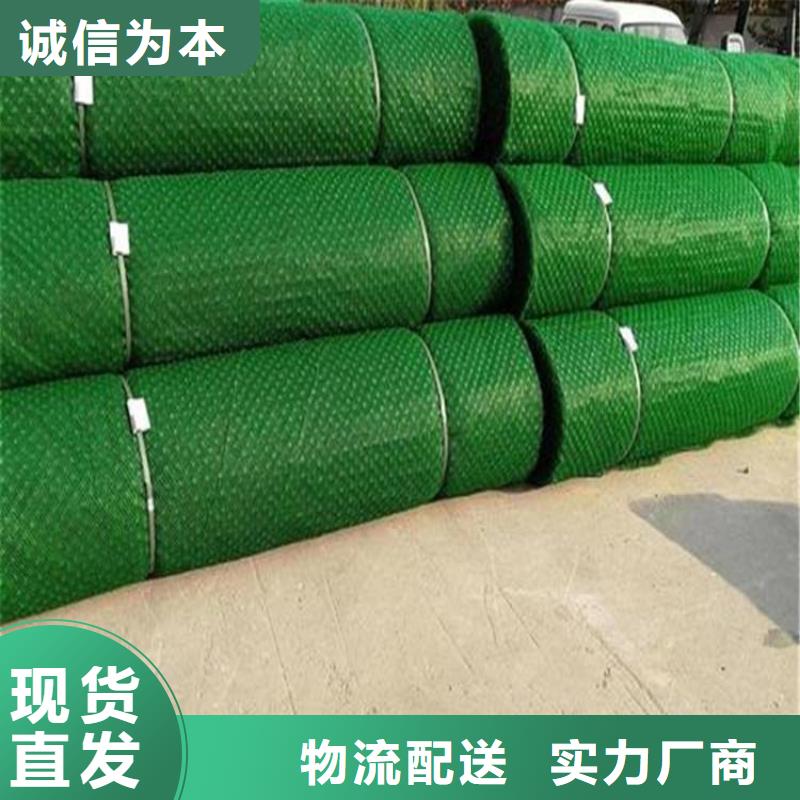 EM4環保加筋護坡網墊