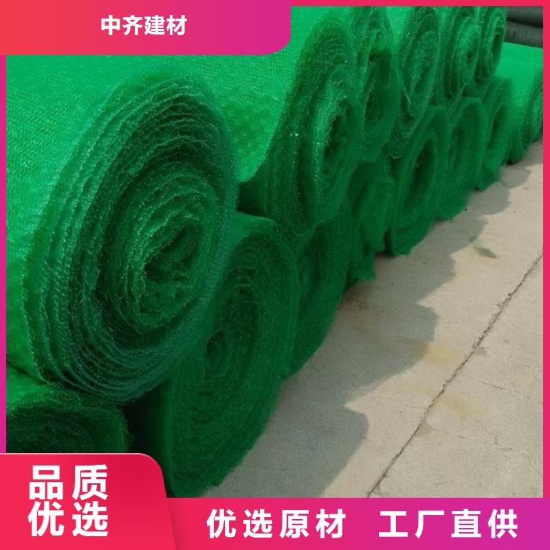 三維植被網(wǎng)-EM5三維土工網(wǎng)墊