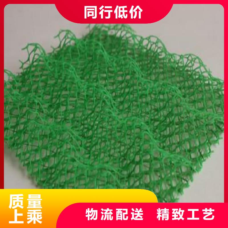 護坡加筋網墊-EM4三維植被網施工動態-已更新