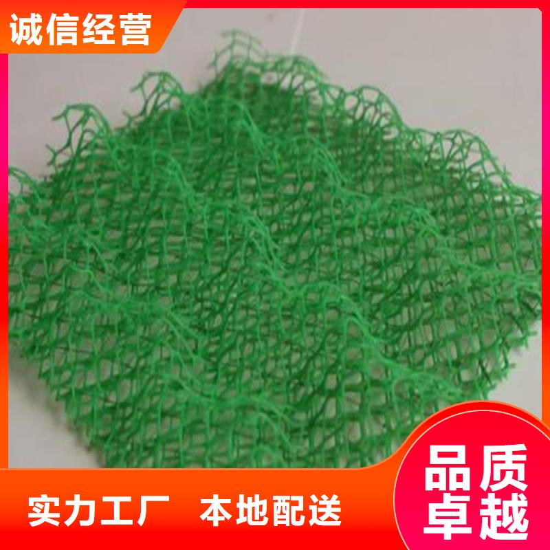 三維植草護坡網墊-EM2三維土工網墊