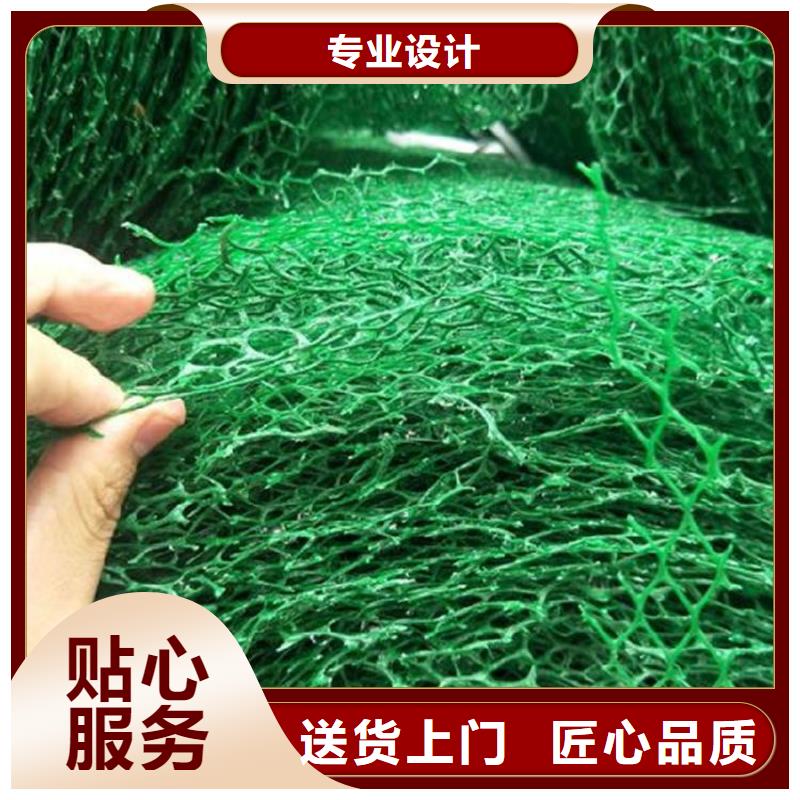三維植被網防水毯定制批發