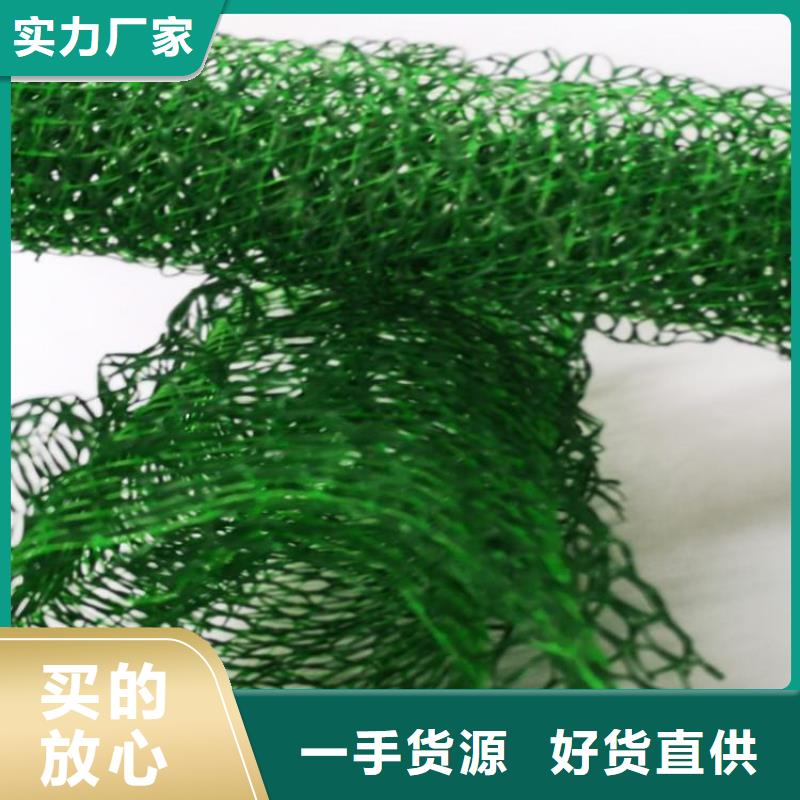 三维植被网-三维网垫制造厂家