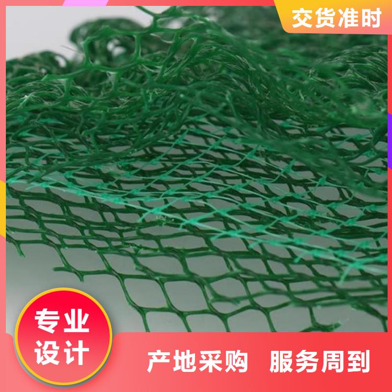 三維植草護坡網墊-EM4三維植被網