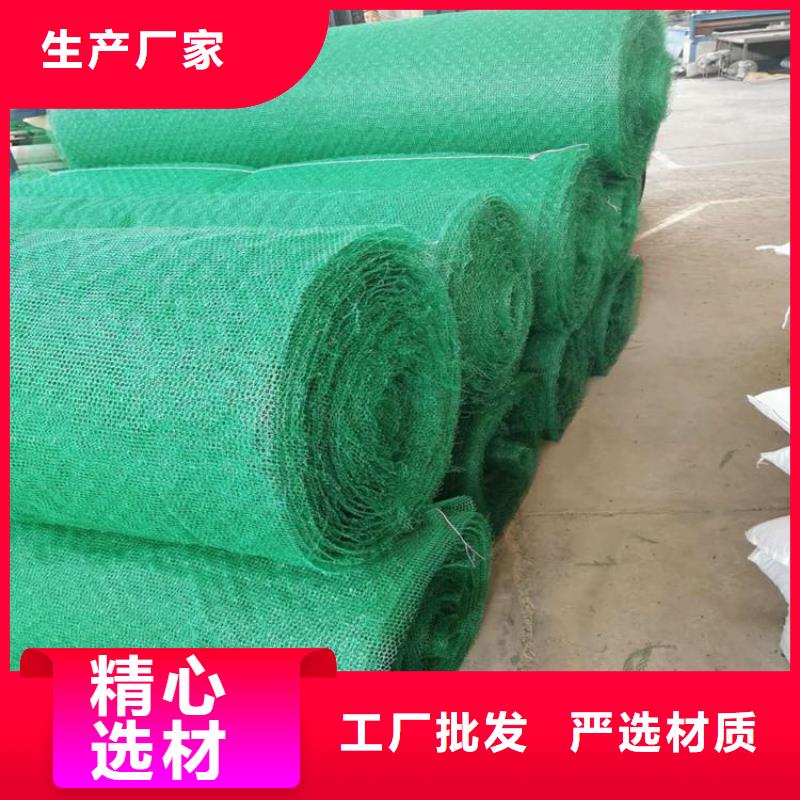 三維植被網(wǎng)土工膜定制不額外收費