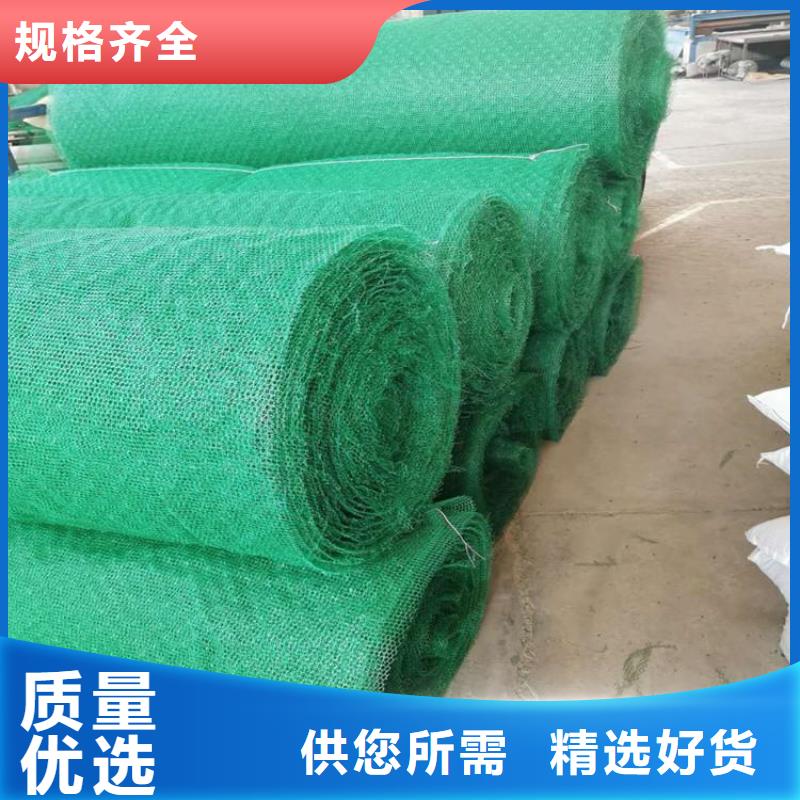 三維加筋土工網(wǎng)墊代理/多少錢一平