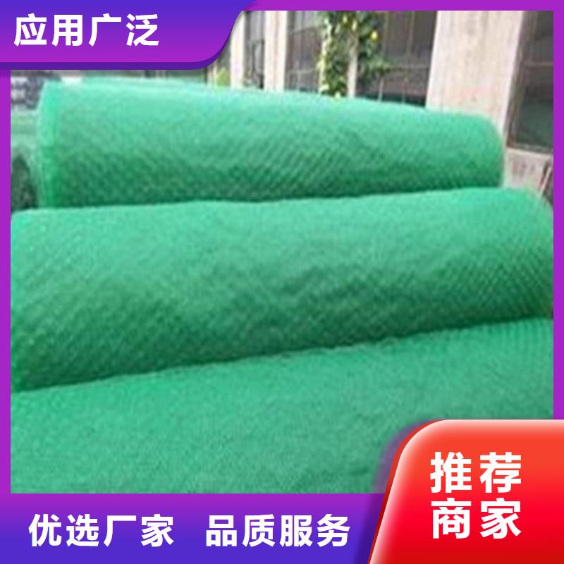 三維植被網【防裂貼】顏色尺寸款式定制