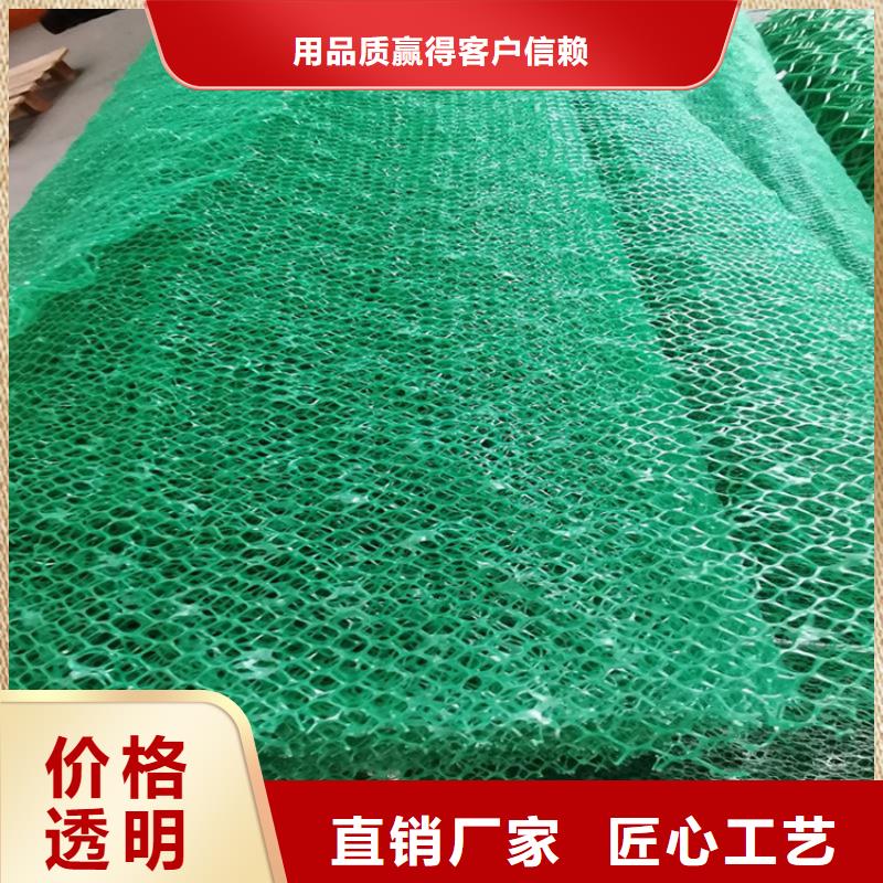 三維護坡植草網墊