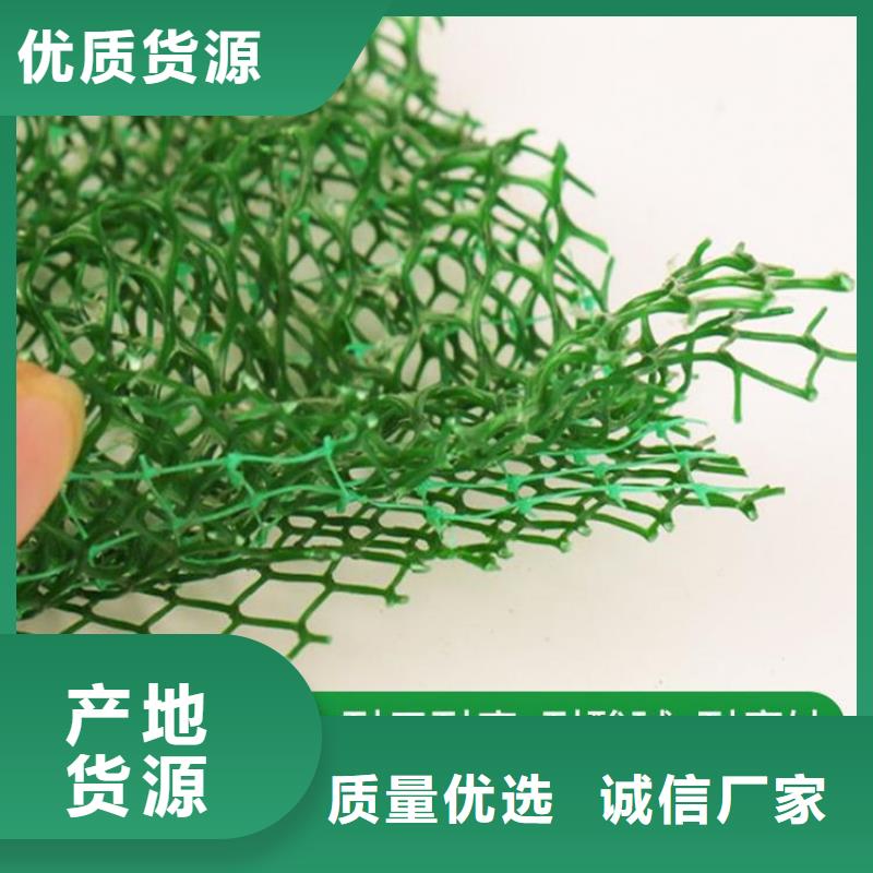 三維加筋土工網墊代理/多少錢一平
