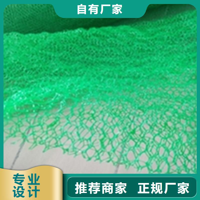 三維固土網墊-三維植被網墊