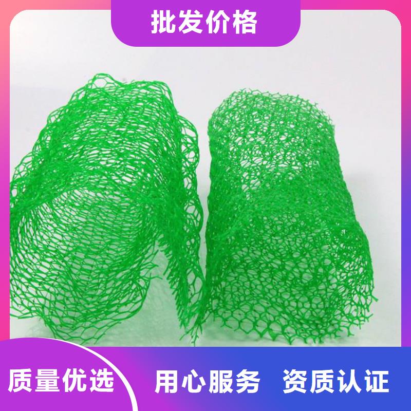 三維加筋植草網墊供應經銷