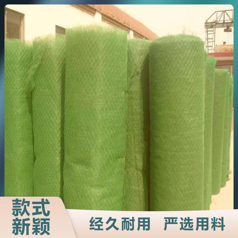 三維護坡植草網墊全國走貨