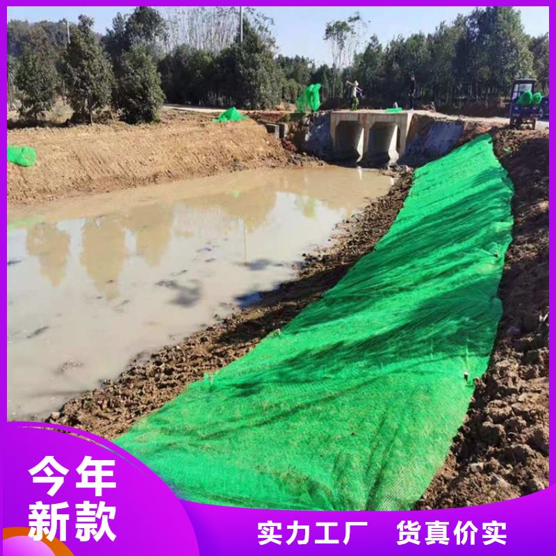 三維加筋土工網(wǎng)墊代理/多少錢一平