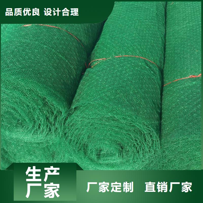 三維固土網(wǎng)墊-EM5三維植被網(wǎng)