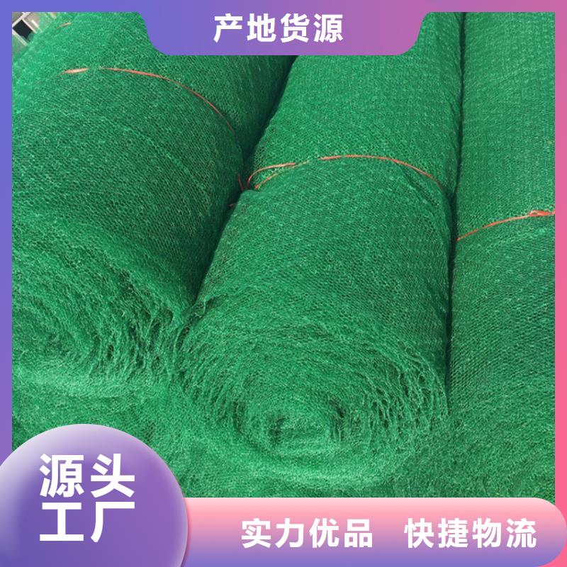 三維植草護坡網墊-EM2三維土工網墊