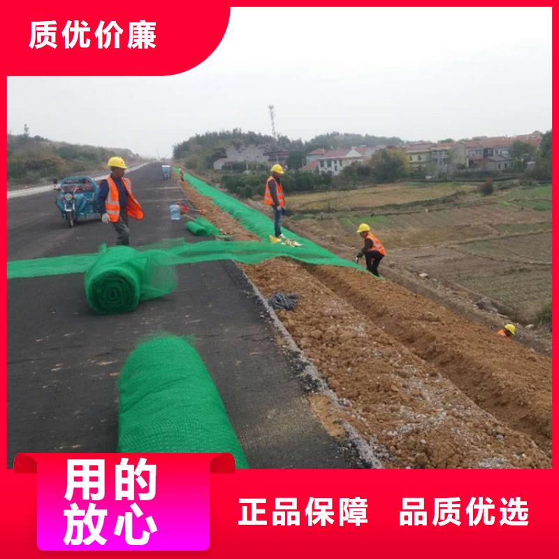 三維植被網【防裂貼】顏色尺寸款式定制