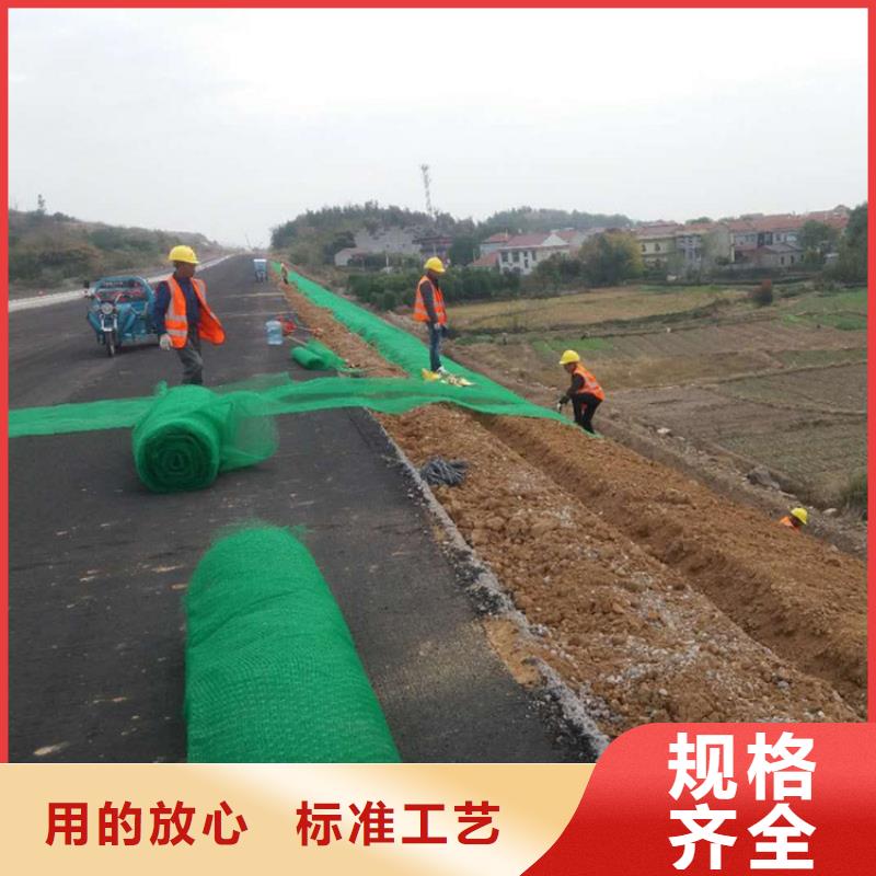 三維加筋土工網墊代理/多少錢一平