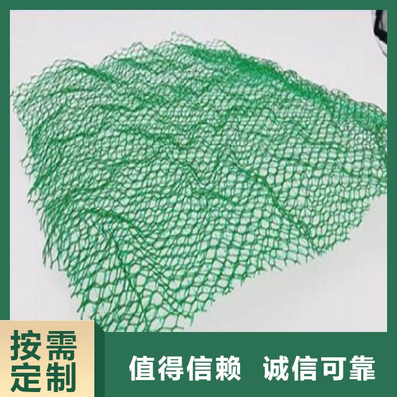 三維植被網鋼塑格柵源廠直接供貨