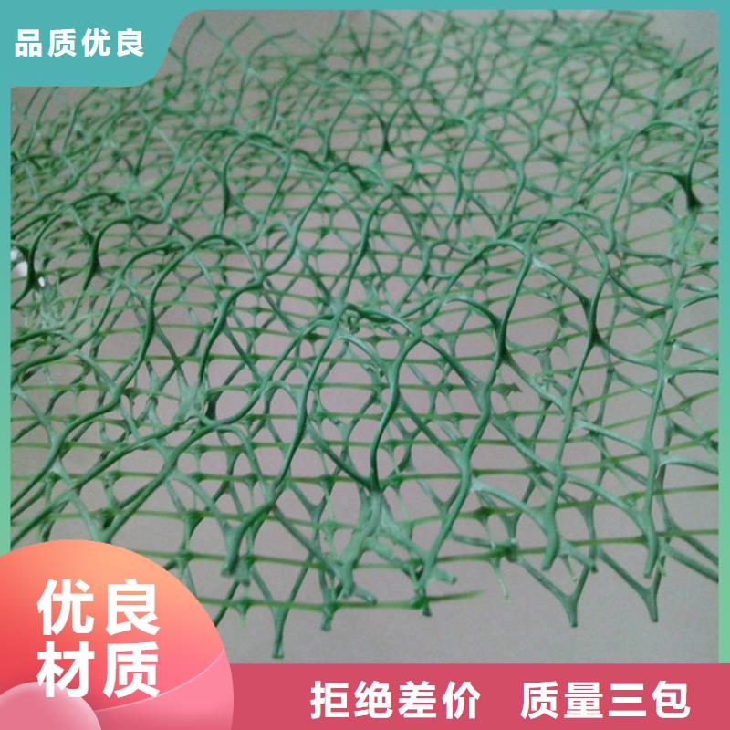 三維固土網(wǎng)墊-邊坡三維土工網(wǎng)墊廠家現(xiàn)貨