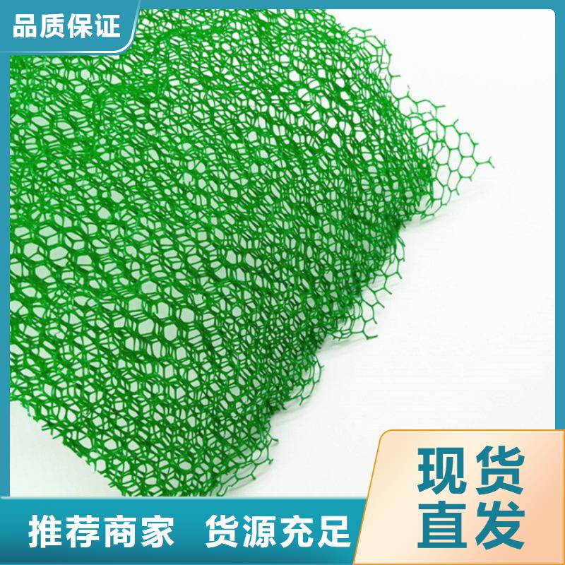 三维护坡植被网垫货真价实