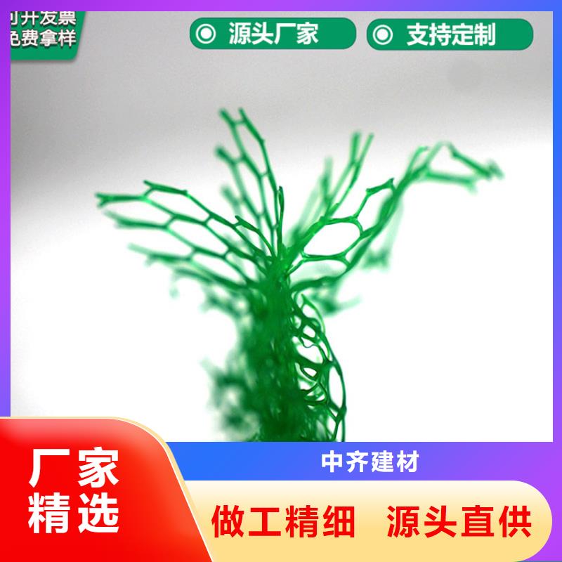 三維護坡植草網墊全國走貨