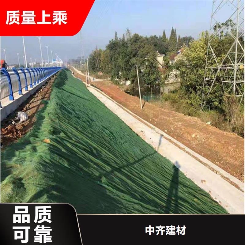 三維固土網(wǎng)墊-三維網(wǎng)植草護(hù)坡