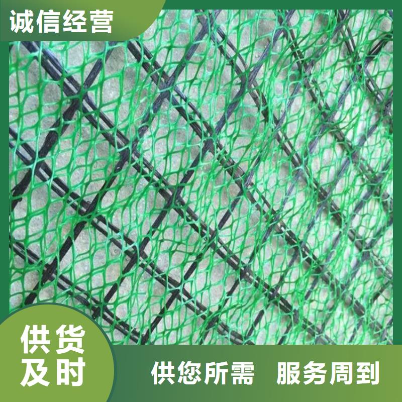 護坡加筋網墊-EM4三維植被網施工動態-已更新