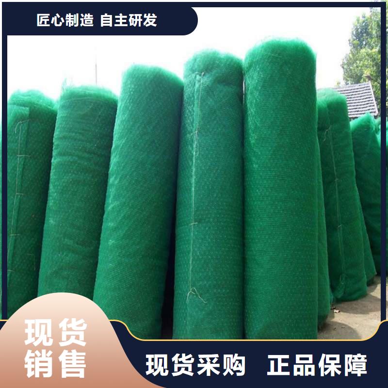 三維加筋土工網墊代理/多少錢一平
