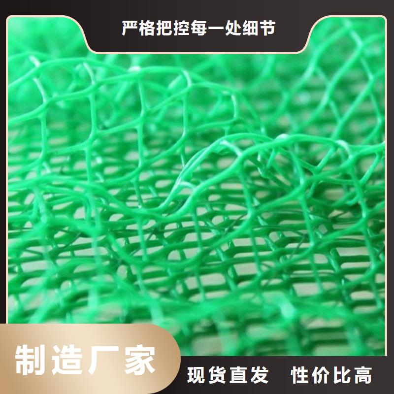 三維固土網(wǎng)墊