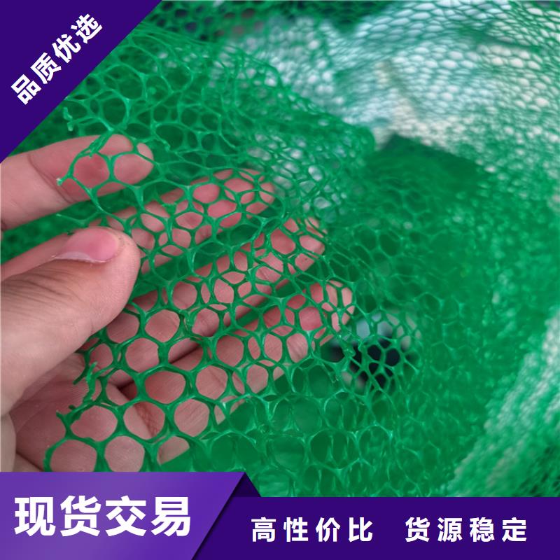 三維固土網墊