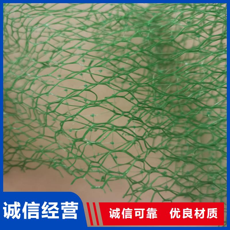 三維護(hù)坡植草網(wǎng)墊歡迎電詢