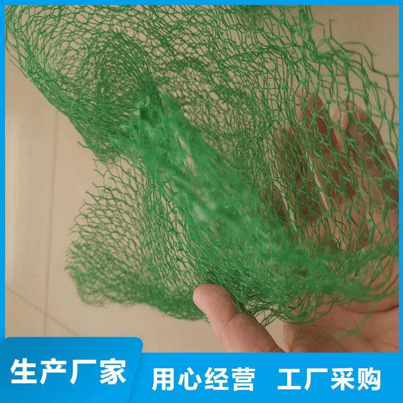 三維土工網墊-護坡三維植被網