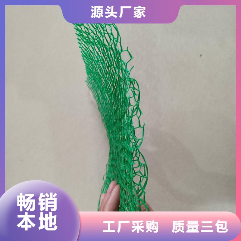 三維護坡植草網墊
