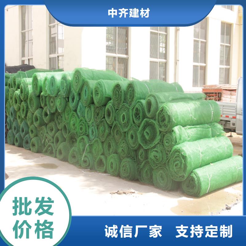 三維植被網鋼塑格柵源廠直接供貨