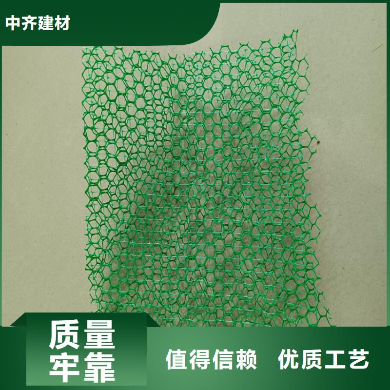 三維植草護坡網墊-三維固土網墊性能結構